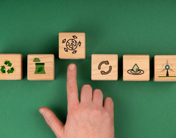 Descubre con BagSack los beneficios de un centro logístico sustentable y aplícalos a tu estrategia de principio a fin.